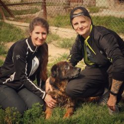 Reisebericht – Aufenthalt im Tierheim in Polen (Bogu) 🇵🇱